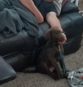 30173794_10213903322870882_1328465289_o